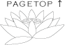 PAGE TOP